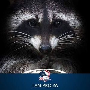 Meet your Posher, Johnny